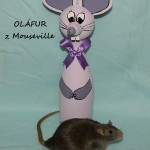 Absolutní vítěz výstavy - Ólafur z Mouseville